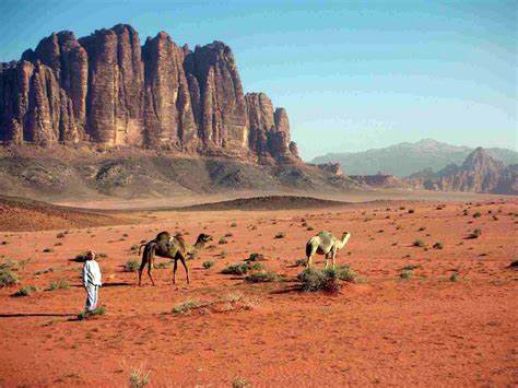 Jabal Um Ad Dami Mountain Trekking Tour in Wadi Rum (WR-JHT-009)